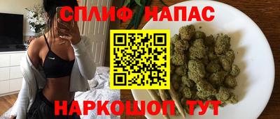 индика Гусиноозёрск