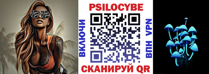 Псилоцибиновые грибы Psilocybe Магадан