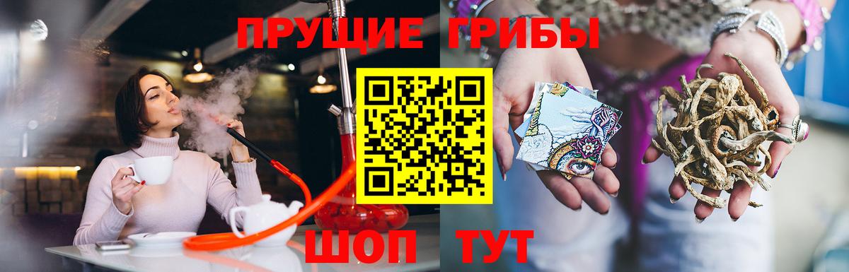 Галлюциногенные грибы прущие грибы Магадан